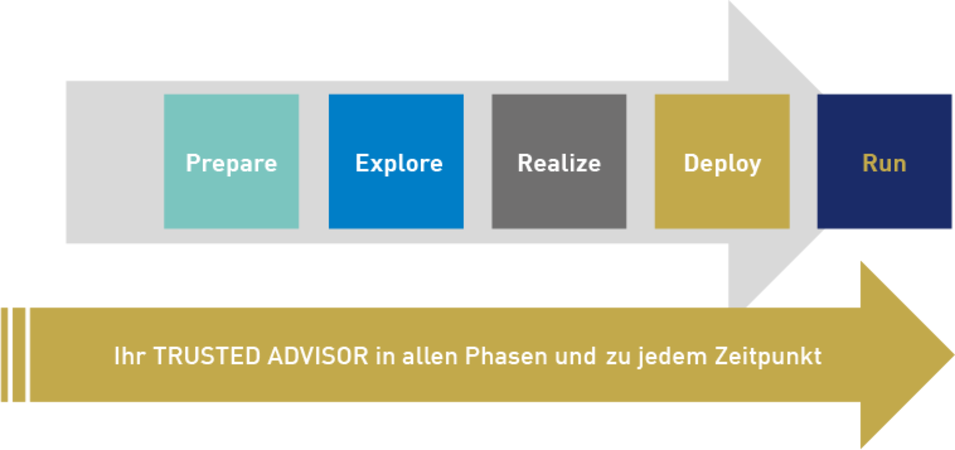 SAP Phasen zur Einführung
